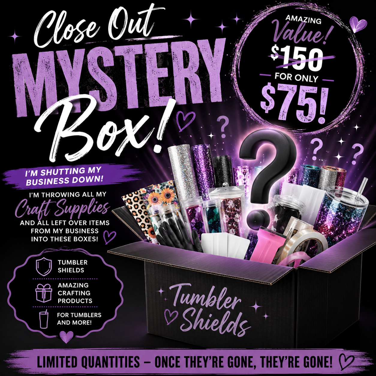 CLOSEOUT Mystery Box 📦